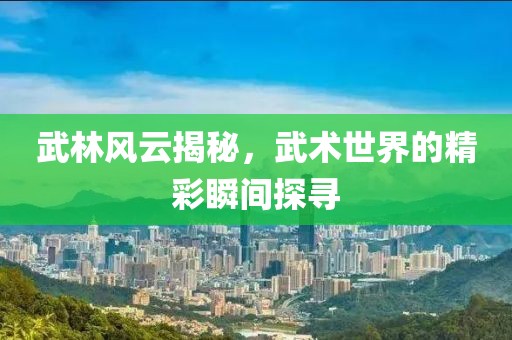 武林风云揭秘，武术世界的精彩瞬间探寻