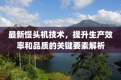 最新馒头机技术，提升生产效率和品质的关键要素解析