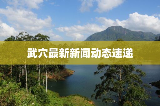 武穴最新新闻动态速递