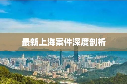 最新上海案件深度剖析