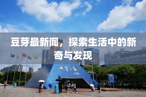 豆芽最新闻，探索生活中的新奇与发现