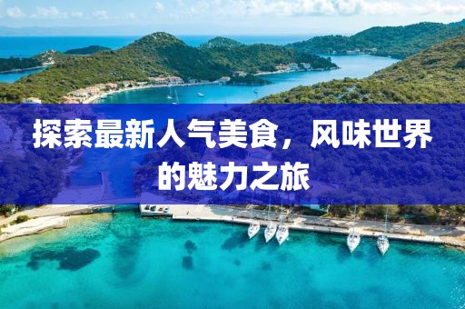 探索最新人气美食，风味世界的魅力之旅