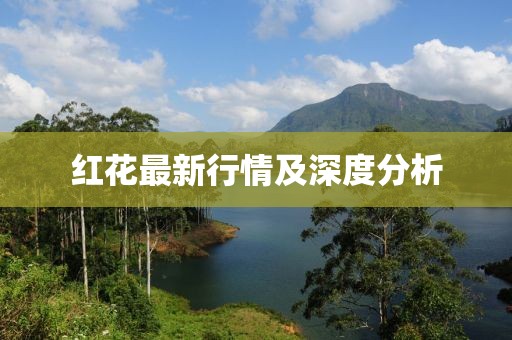 红花最新行情及深度分析