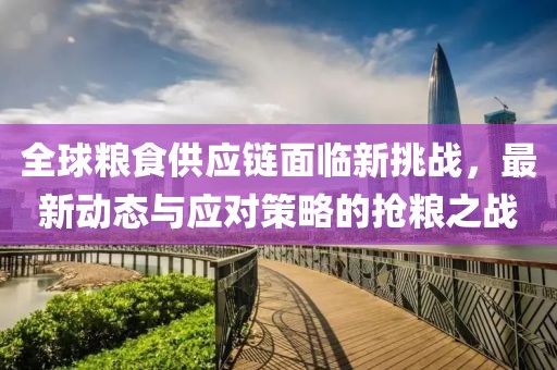 全球粮食供应链面临新挑战，最新动态与应对策略的抢粮之战