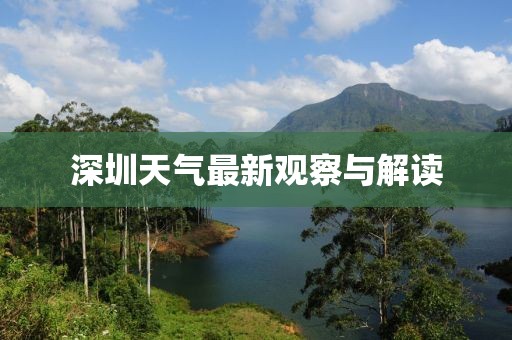 深圳天气最新观察与解读