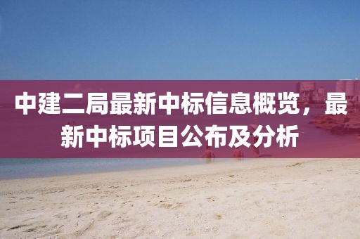 中建二局最新中标信息概览，最新中标项目公布及分析