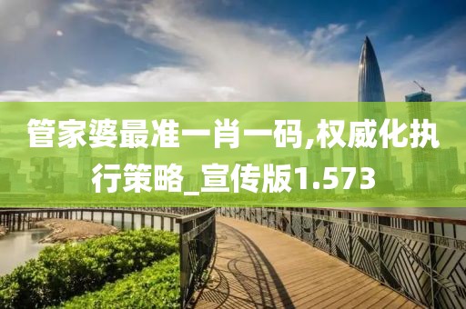 管家婆最准一肖一码,权威化执行策略_宣传版1.573