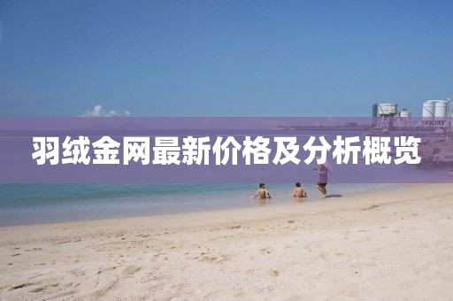 羽绒金网最新价格及分析概览