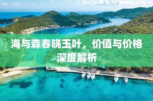 海与森春晓玉叶，价值与价格深度解析