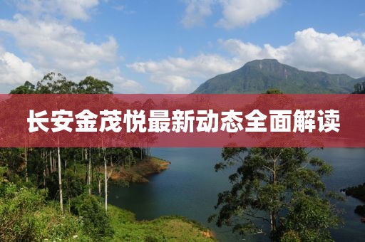 长安金茂悦最新动态全面解读