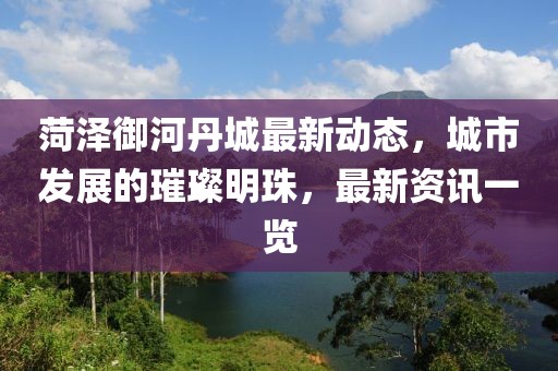 信命卜认命 第9页