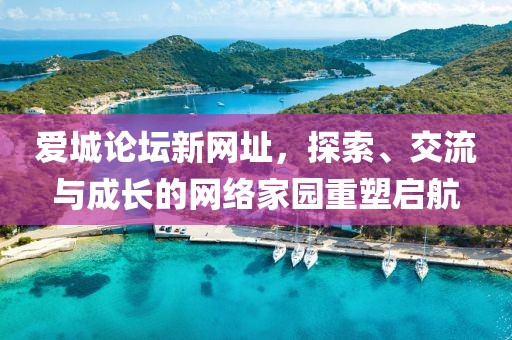 爱城论坛新网址，探索、交流与成长的网络家园重塑启航