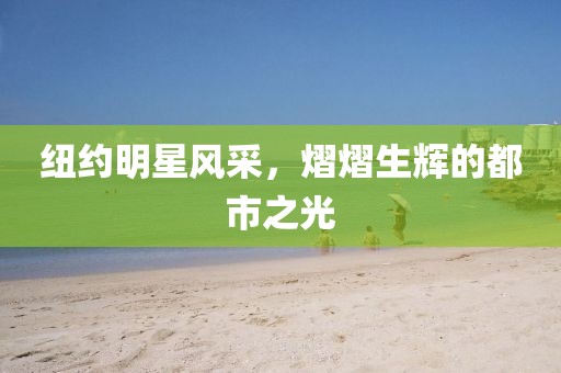 纽约明星风采，熠熠生辉的都市之光