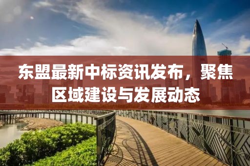 东盟最新中标资讯发布，聚焦区域建设与发展动态