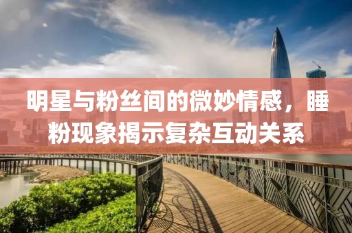 明星与粉丝间的微妙情感，睡粉现象揭示复杂互动关系