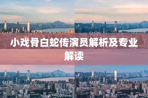 小戏骨白蛇传演员解析及专业解读