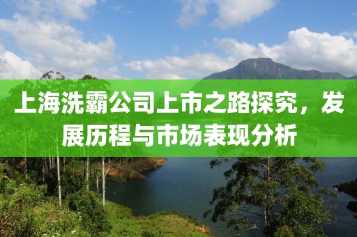 上海洗霸公司上市之路探究，发展历程与市场表现分析
