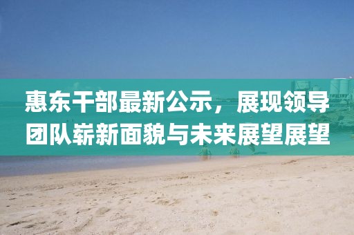 惠东干部最新公示，展现领导团队崭新面貌与未来展望展望