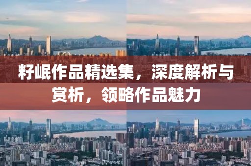 籽岷作品精选集，深度解析与赏析，领略作品魅力