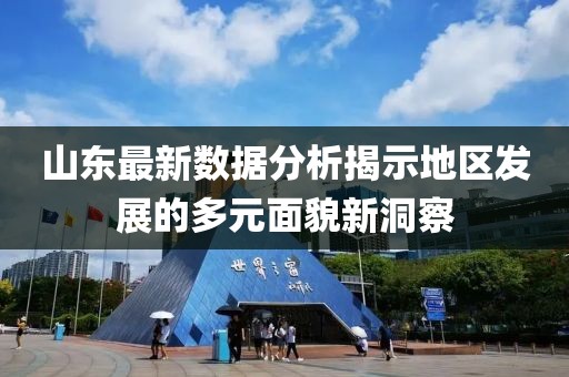 山东最新数据分析揭示地区发展的多元面貌新洞察