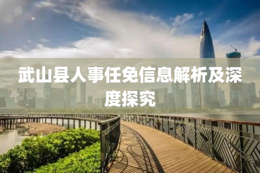 武山县人事任免信息解析及深度探究