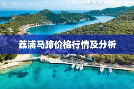 荔浦马蹄价格行情及分析