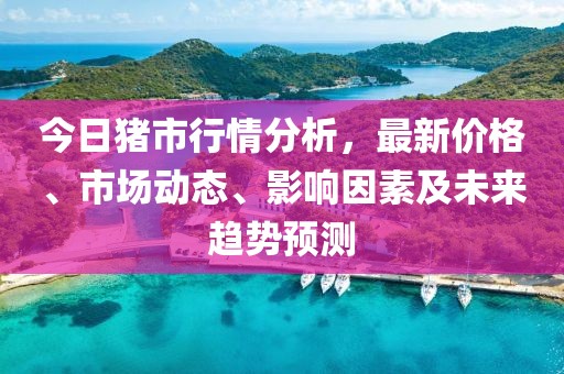 今日猪市行情分析，最新价格、市场动态、影响因素及未来趋势预测
