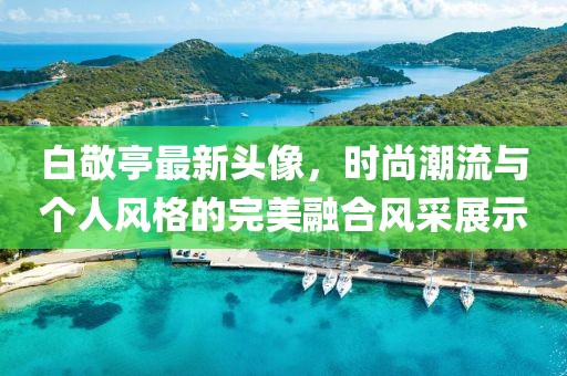 白敬亭最新头像，时尚潮流与个人风格的完美融合风采展示