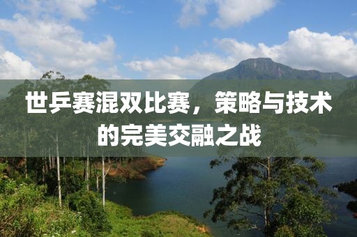 世乒赛混双比赛，策略与技术的完美交融之战