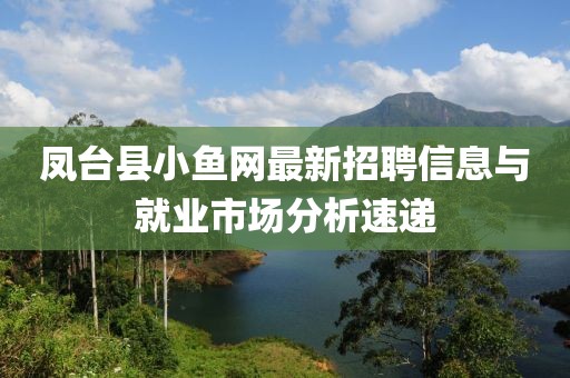 凤台县小鱼网最新招聘信息与就业市场分析速递