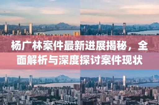 杨广林案件最新进展揭秘，全面解析与深度探讨案件现状