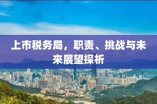 上市税务局，职责、挑战与未来展望探析