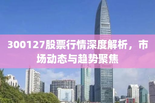 300127股票行情深度解析，市场动态与趋势聚焦