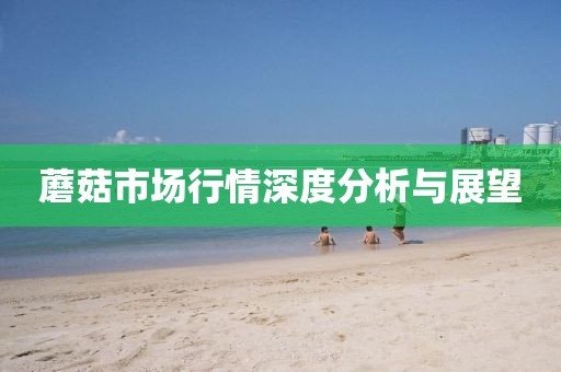 蘑菇市场行情深度分析与展望
