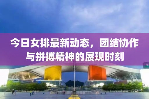 今日女排最新动态，团结协作与拼搏精神的展现时刻