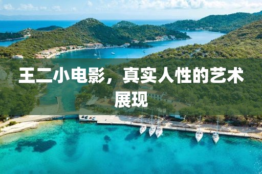 王二小电影，真实人性的艺术展现