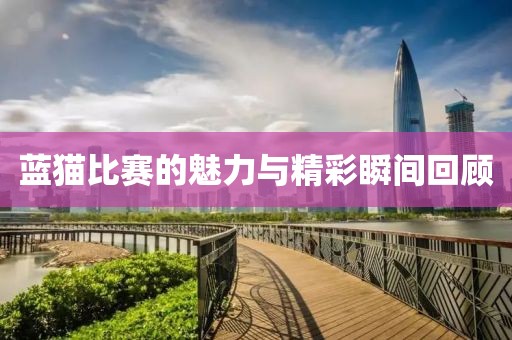 蓝猫比赛的魅力与精彩瞬间回顾