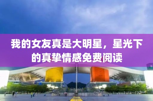 我的女友真是大明星，星光下的真挚情感免费阅读