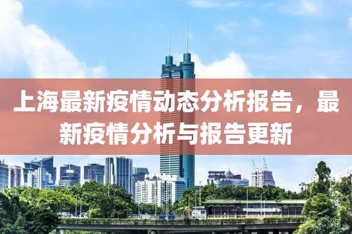 上海最新疫情动态分析报告，最新疫情分析与报告更新