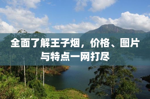 全面了解王子烟，价格、图片与特点一网打尽