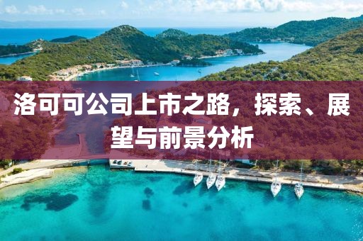 洛可可公司上市之路，探索、展望与前景分析