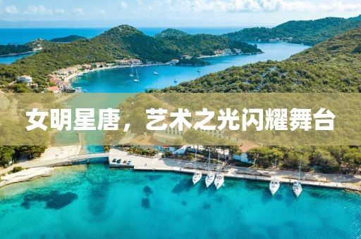 女明星唐，艺术之光闪耀舞台