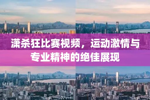 潇杀狂比赛视频，运动激情与专业精神的绝佳展现