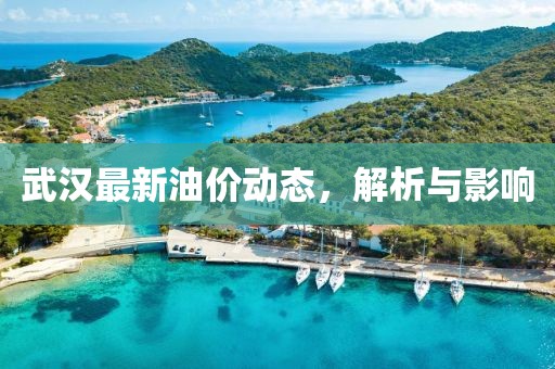 武汉最新油价动态，解析与影响
