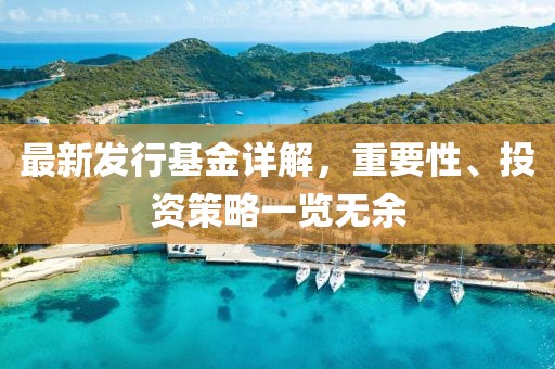 最新发行基金详解，重要性、投资策略一览无余