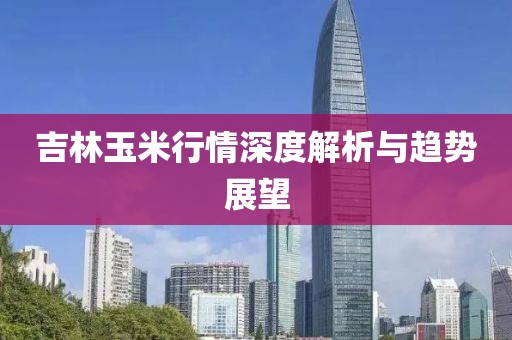 吉林玉米行情深度解析与趋势展望