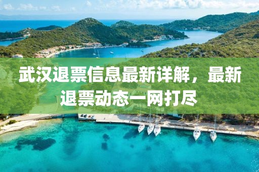 武汉退票信息最新详解，最新退票动态一网打尽