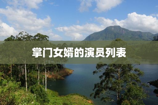 掌门女婿的演员列表