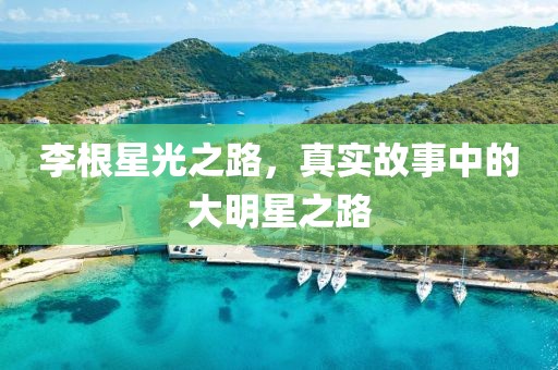 李根星光之路，真实故事中的大明星之路