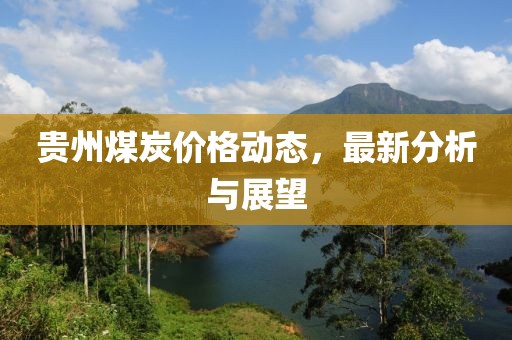 贵州煤炭价格动态，最新分析与展望